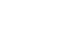 Willowbend white logo